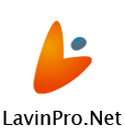 lavinpro.net